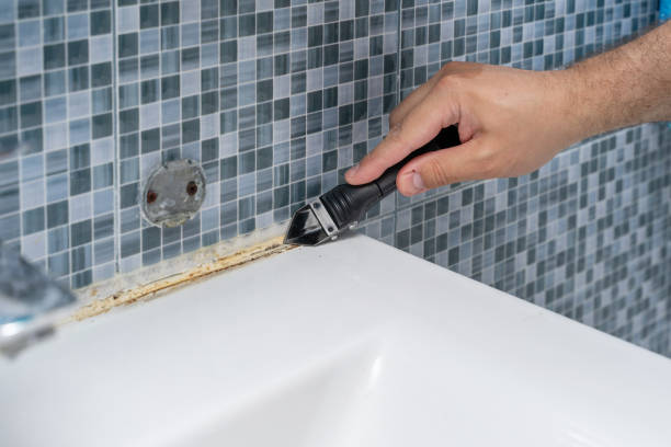 Best Residential Mold Removal  in Carey, ID